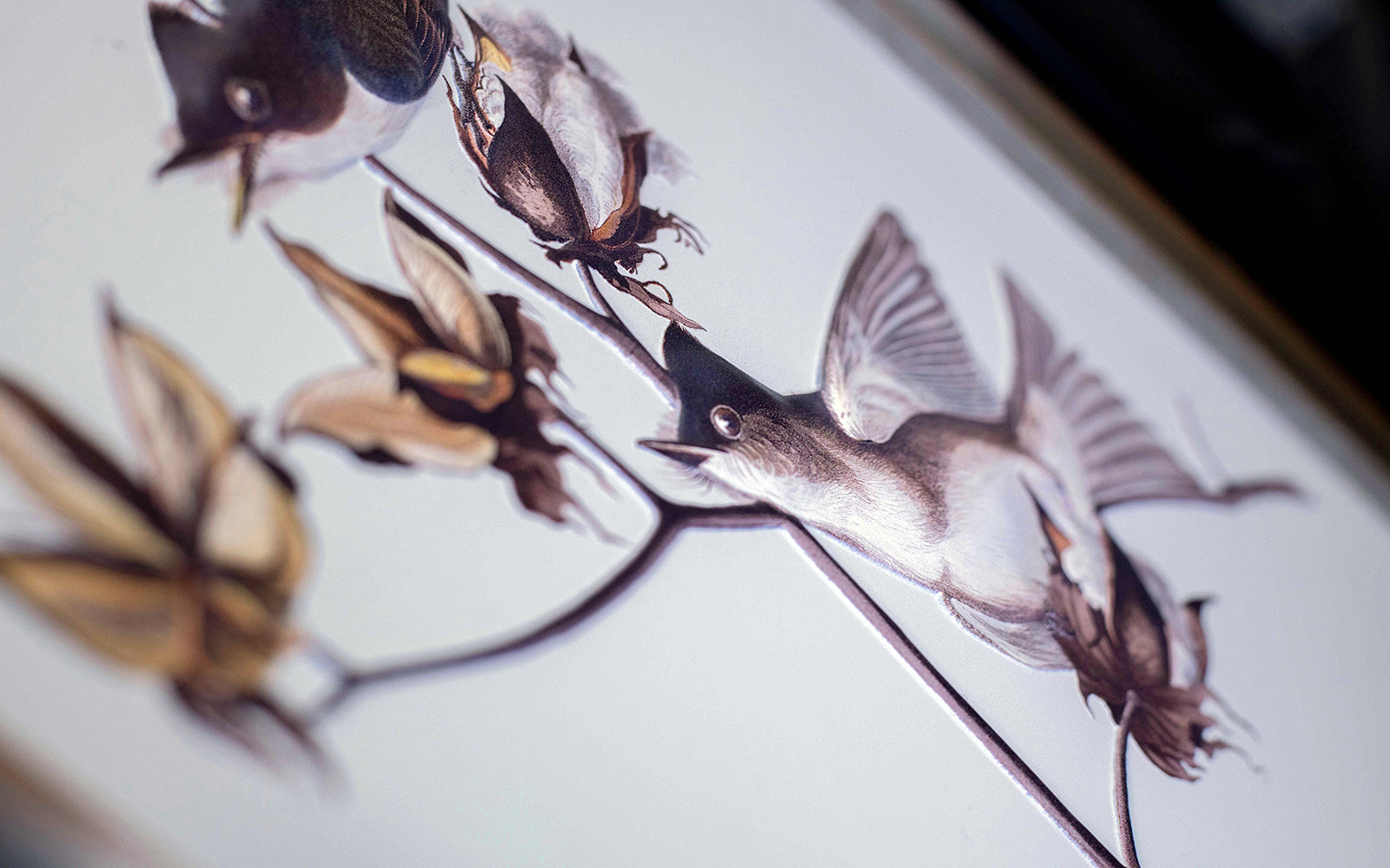 Elevating the Arts: Arius Helps the Audubon Society Provide an Art Experience for Everyone